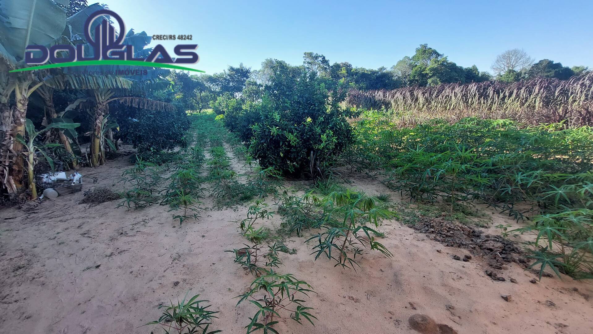 Fazenda à venda com 3 quartos, 20000m² - Foto 35