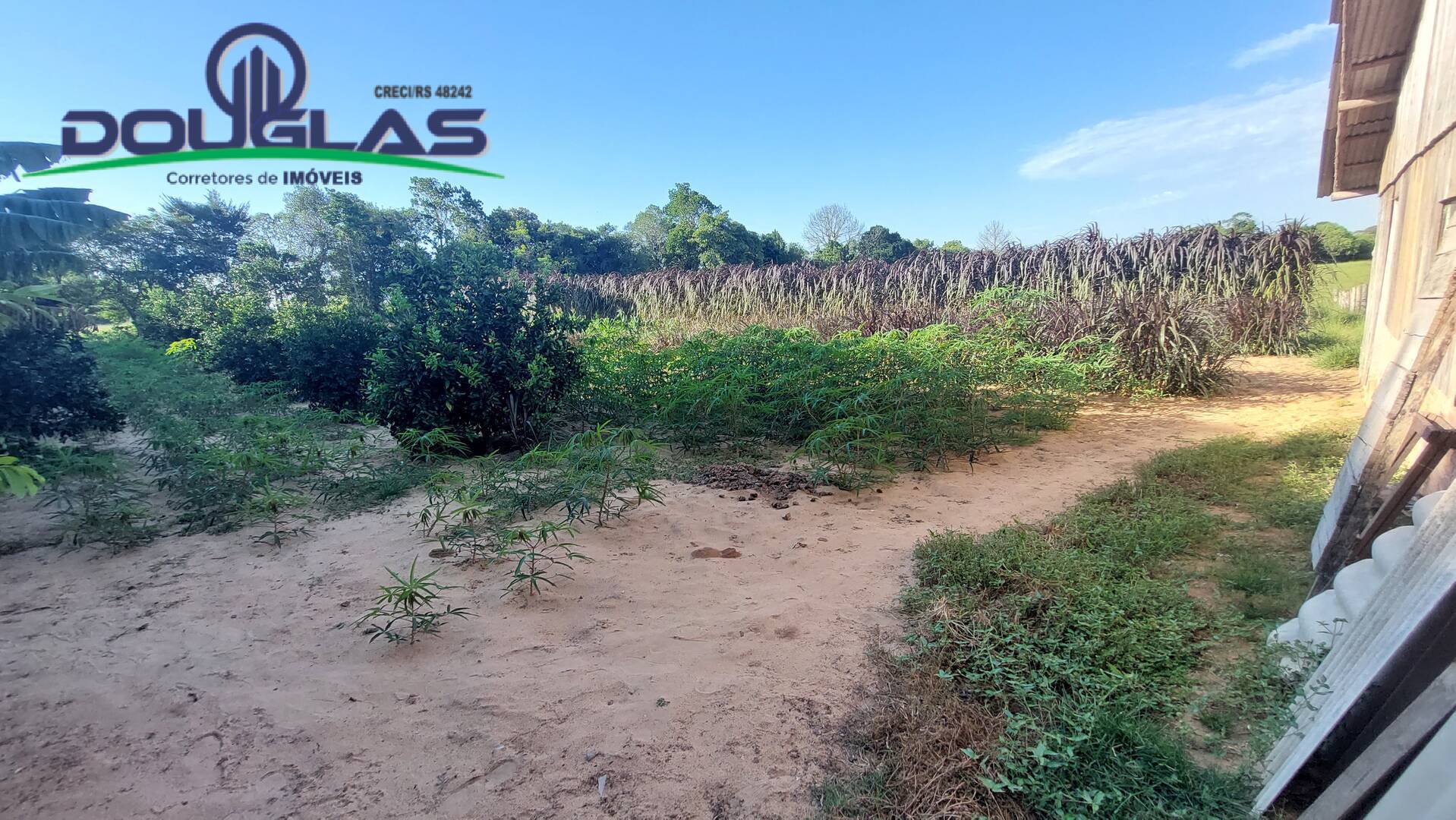 Fazenda à venda com 3 quartos, 20000m² - Foto 36