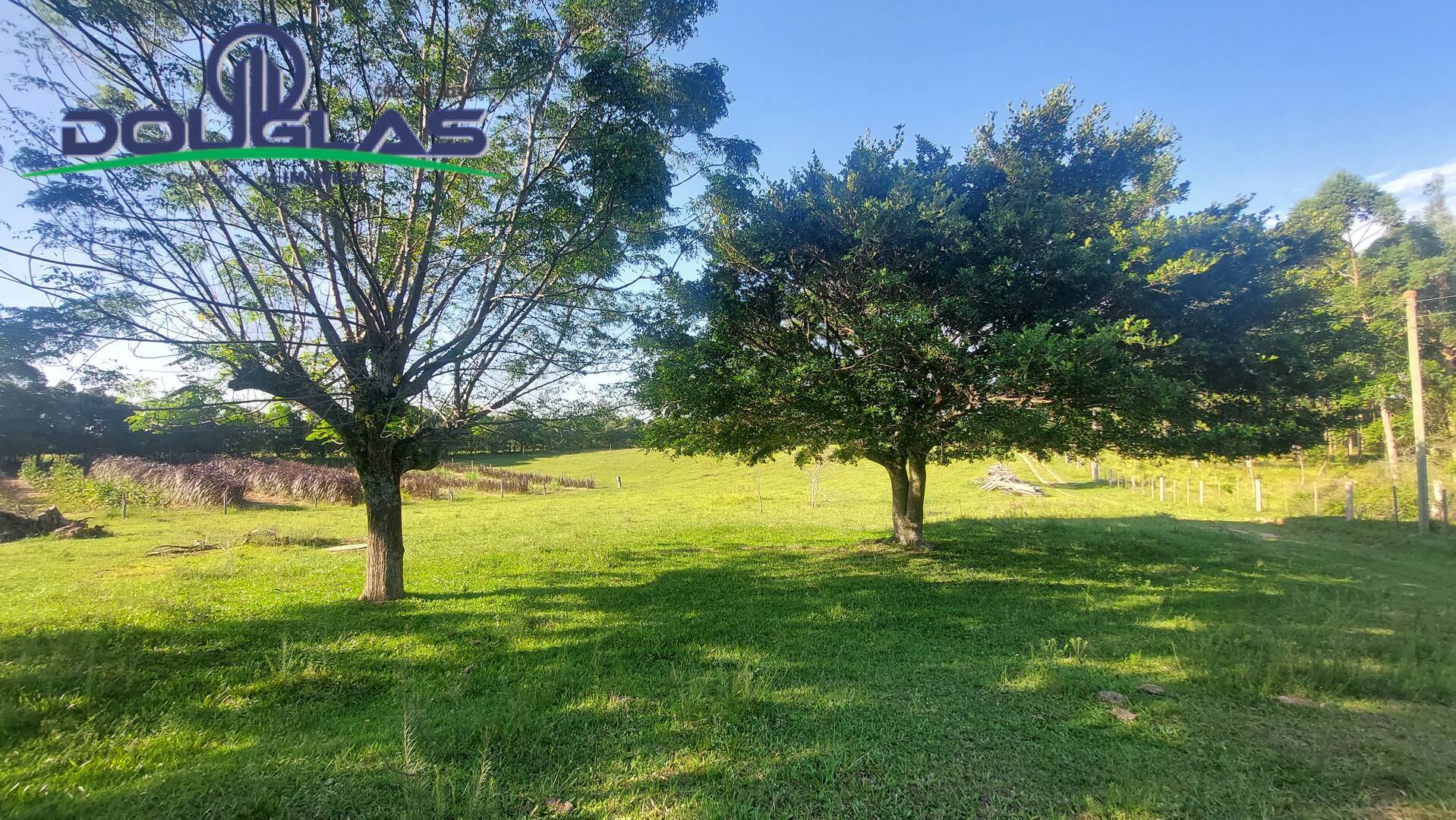 Fazenda à venda com 3 quartos, 20000m² - Foto 38