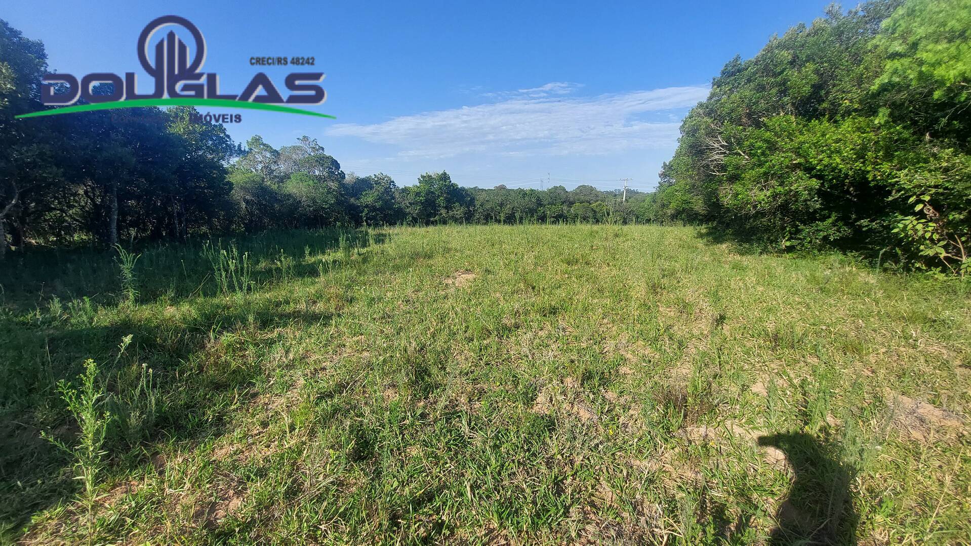 Fazenda à venda com 3 quartos, 20000m² - Foto 23