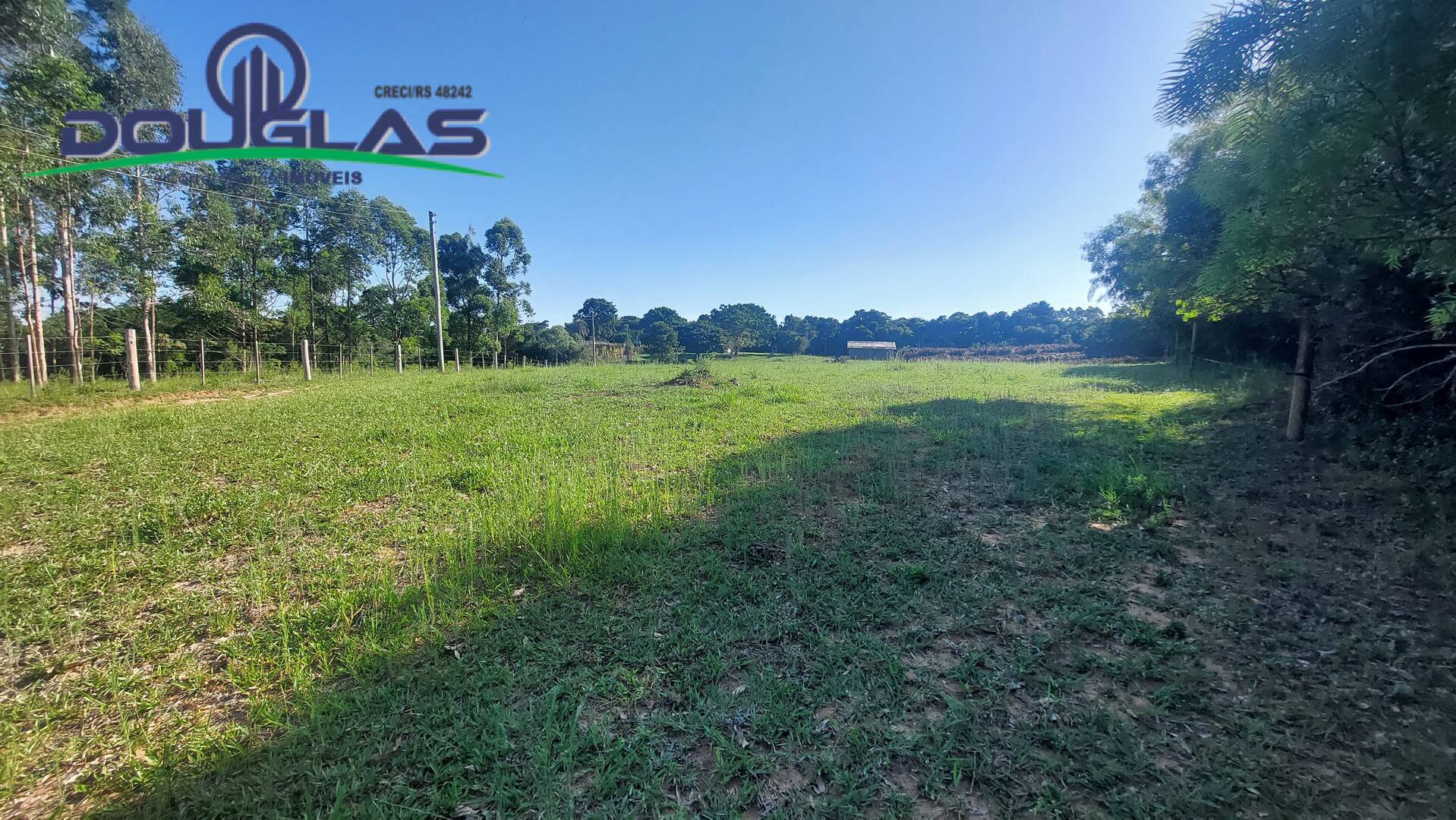 Fazenda à venda com 3 quartos, 20000m² - Foto 43