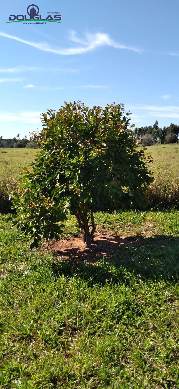 Terreno à venda, 3050m² - Foto 11