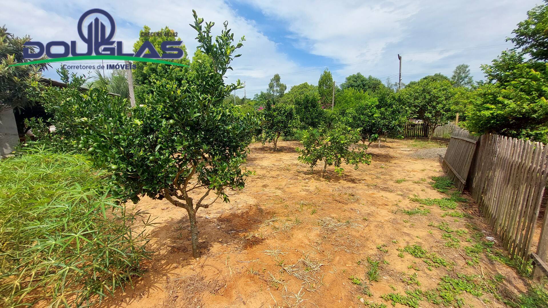 Terreno à venda - Foto 4