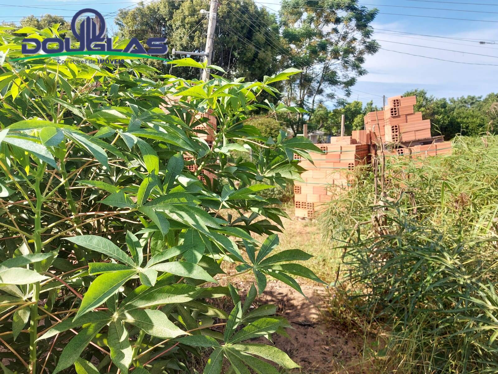 Terreno à venda, 450m² - Foto 7