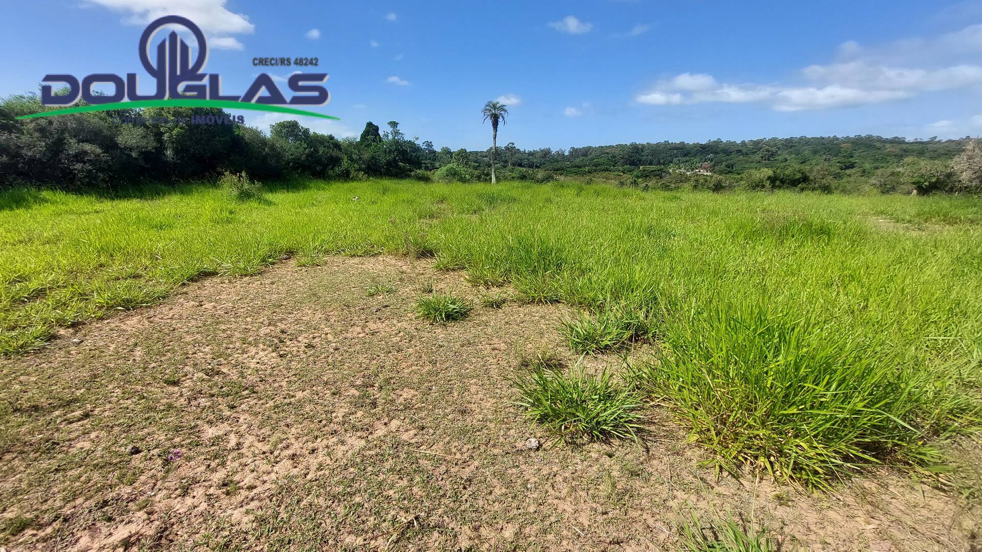 Terreno à venda - Foto 1