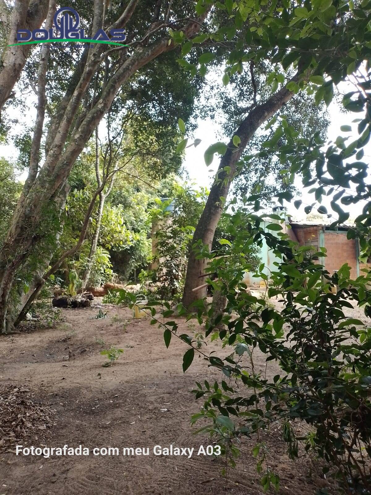 Fazenda à venda com 2 quartos, 1800m² - Foto 2