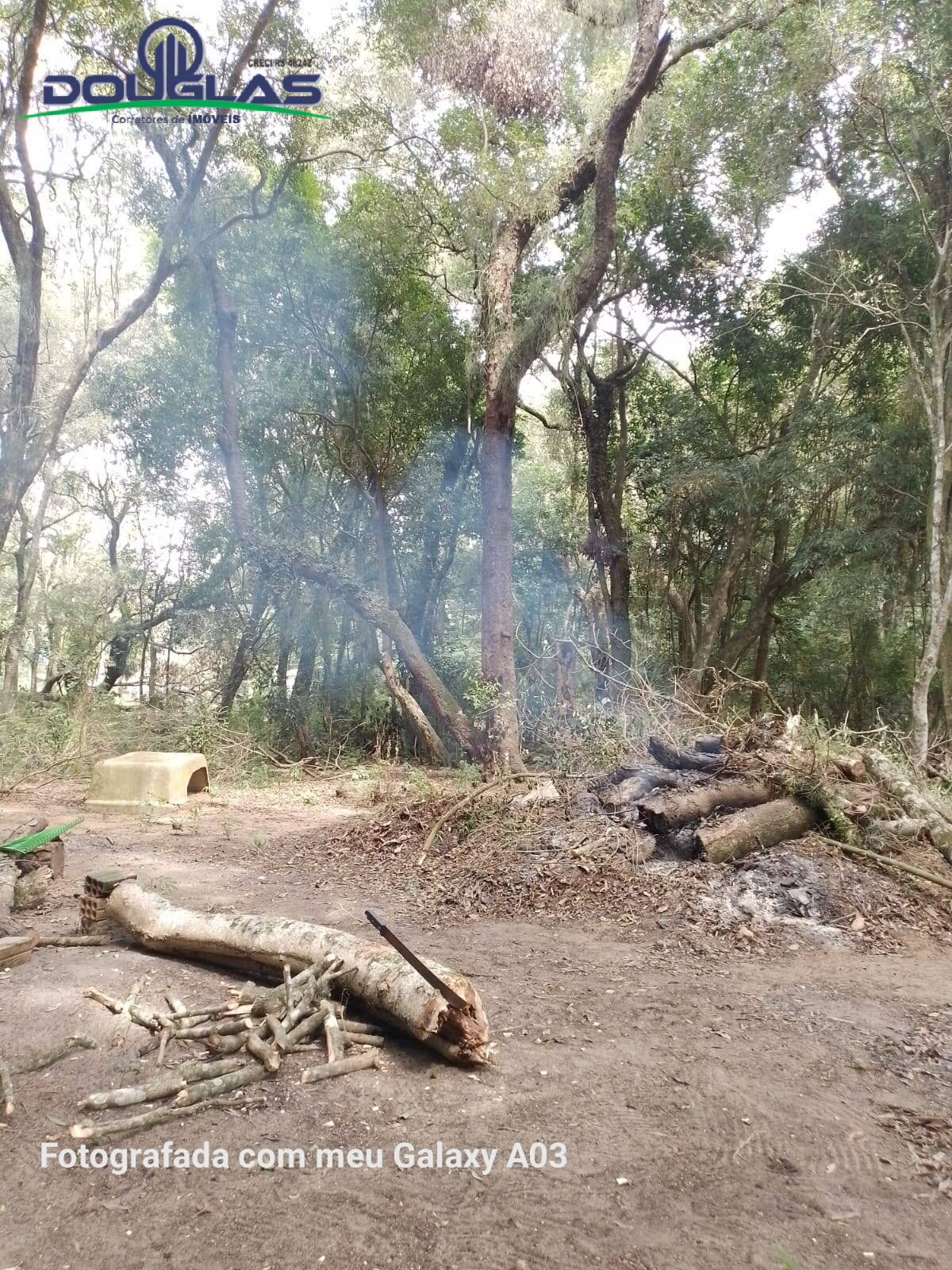 Fazenda à venda com 2 quartos, 1800m² - Foto 3