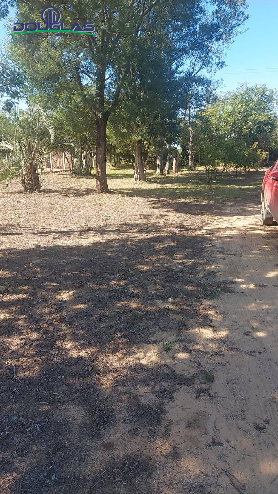 Fazenda à venda com 2 quartos, 11000m² - Foto 5