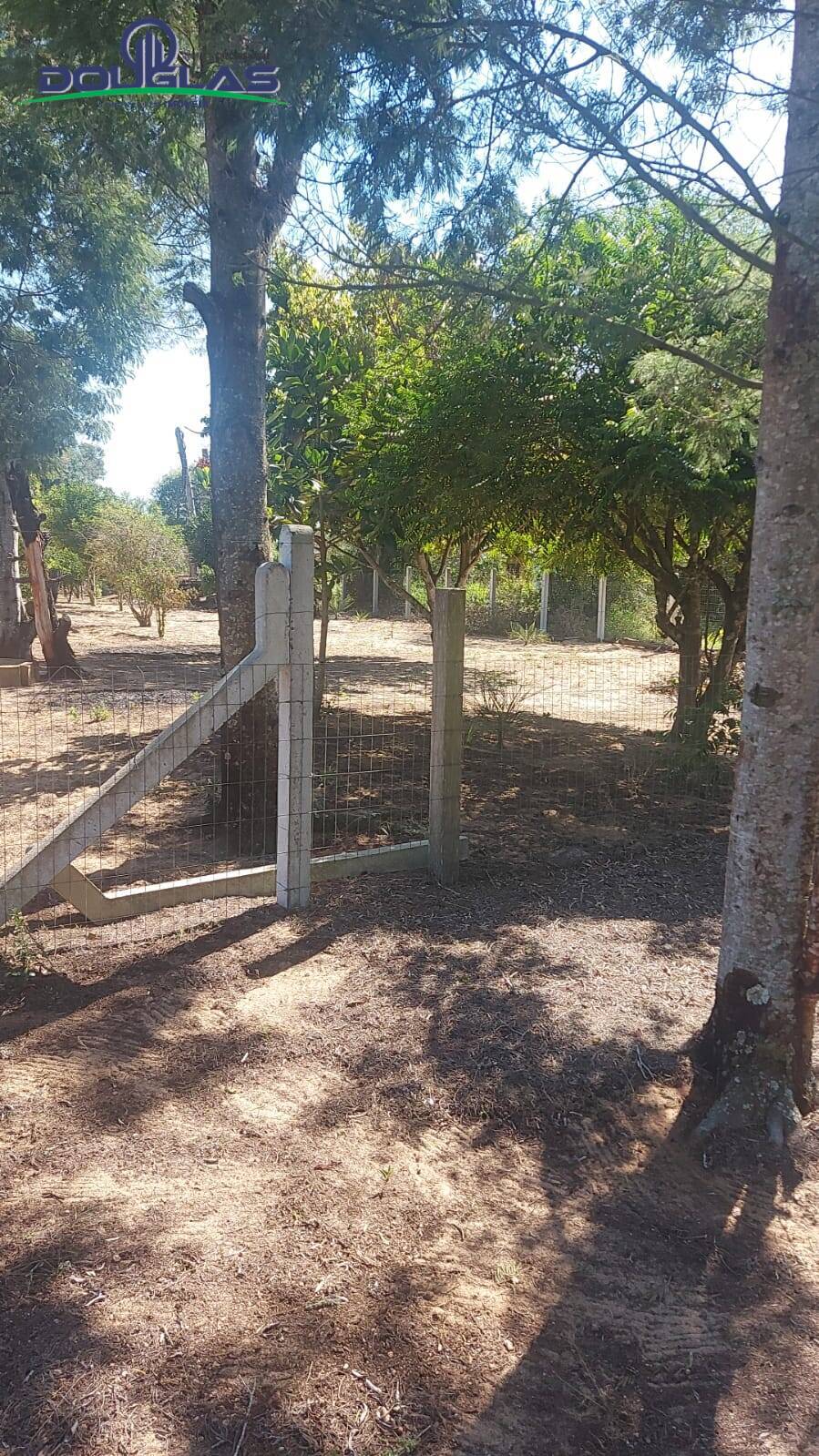 Fazenda à venda com 2 quartos, 11000m² - Foto 6