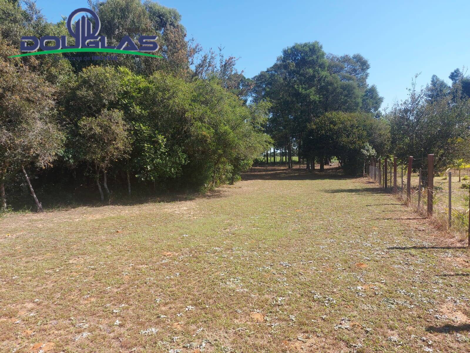 Fazenda à venda com 2 quartos, 11000m² - Foto 9