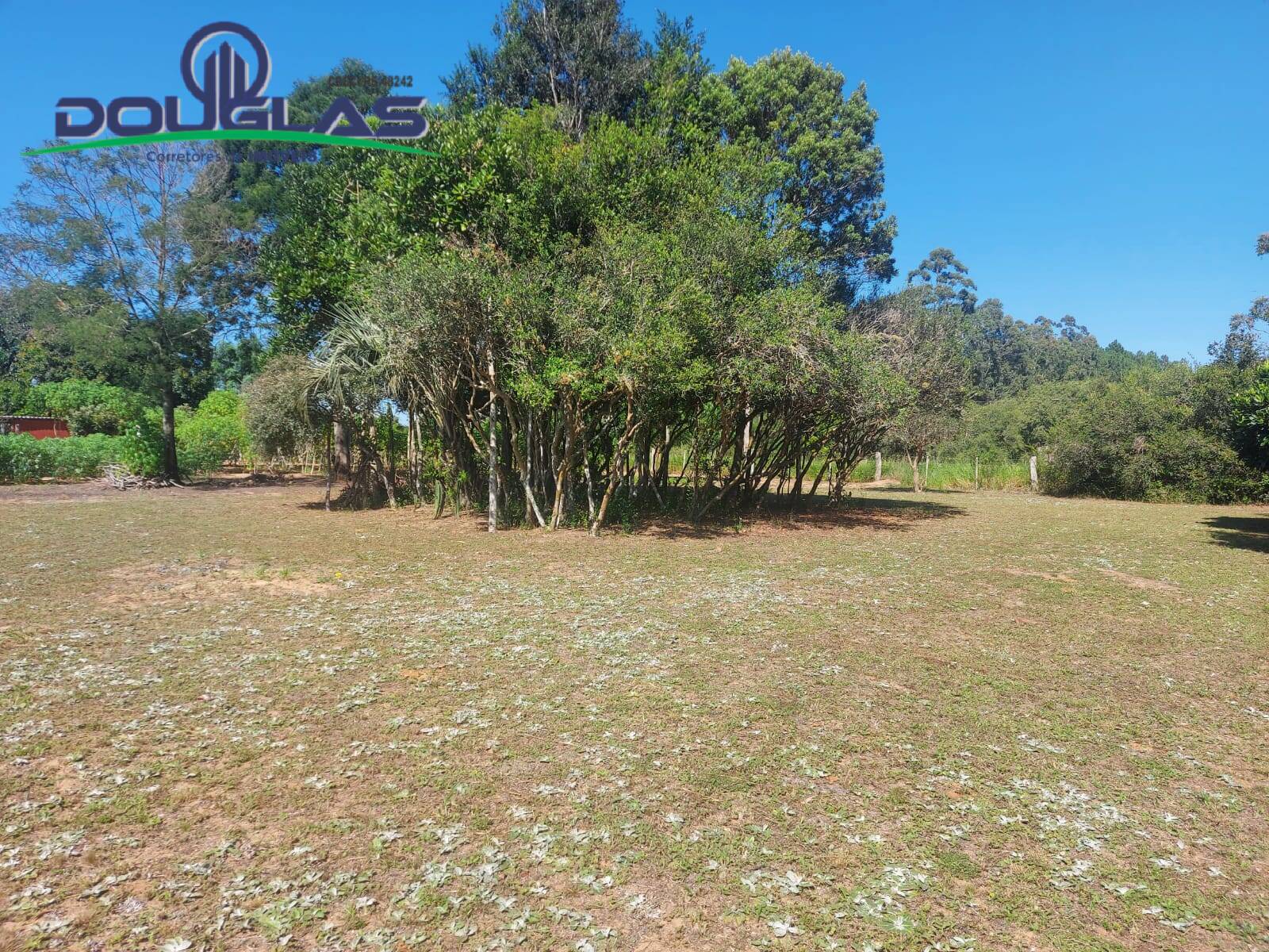 Fazenda à venda com 2 quartos, 11000m² - Foto 8