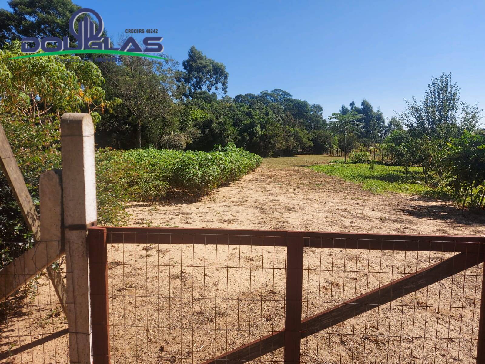 Fazenda à venda com 2 quartos, 11000m² - Foto 15