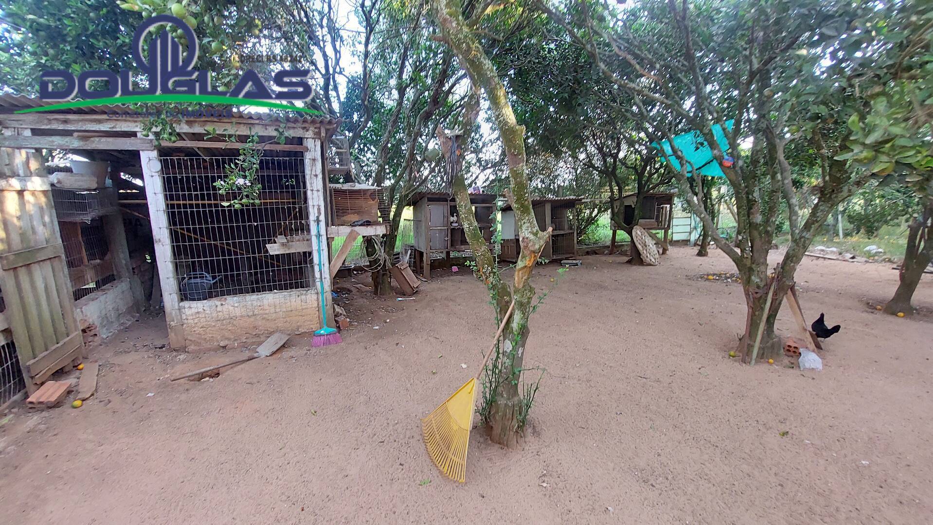 Fazenda à venda com 3 quartos, 150m² - Foto 30