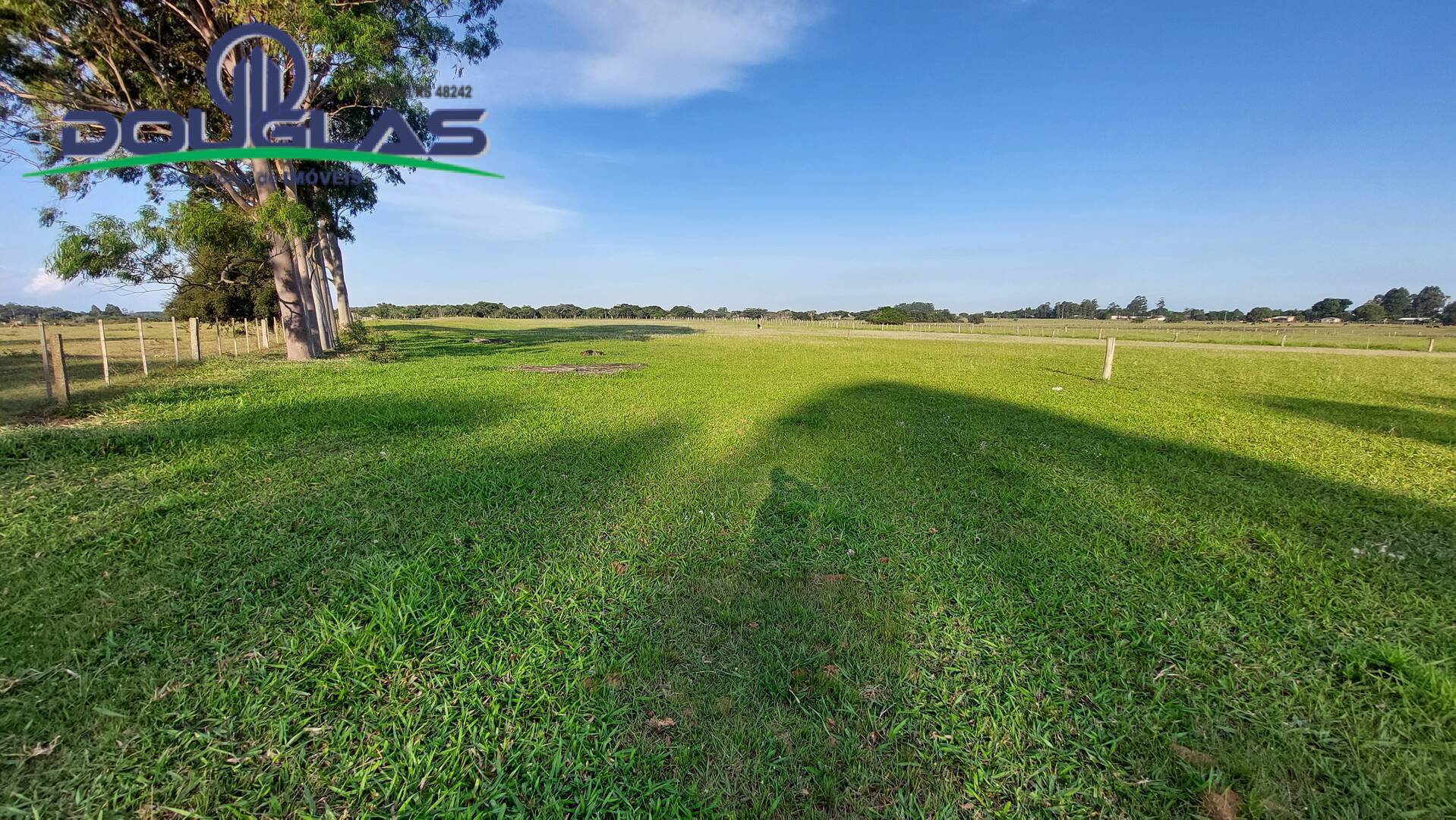 Fazenda à venda com 3 quartos, 150m² - Foto 31