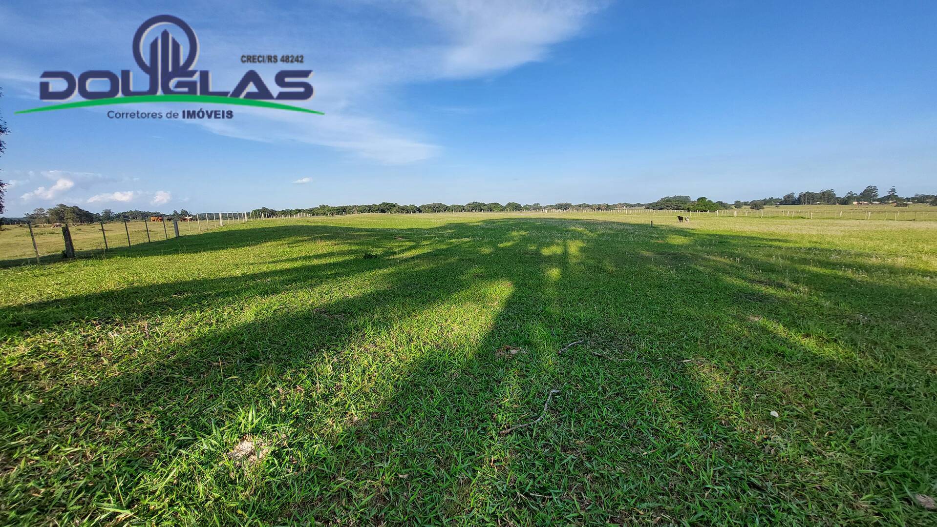 Fazenda à venda com 3 quartos, 150m² - Foto 33