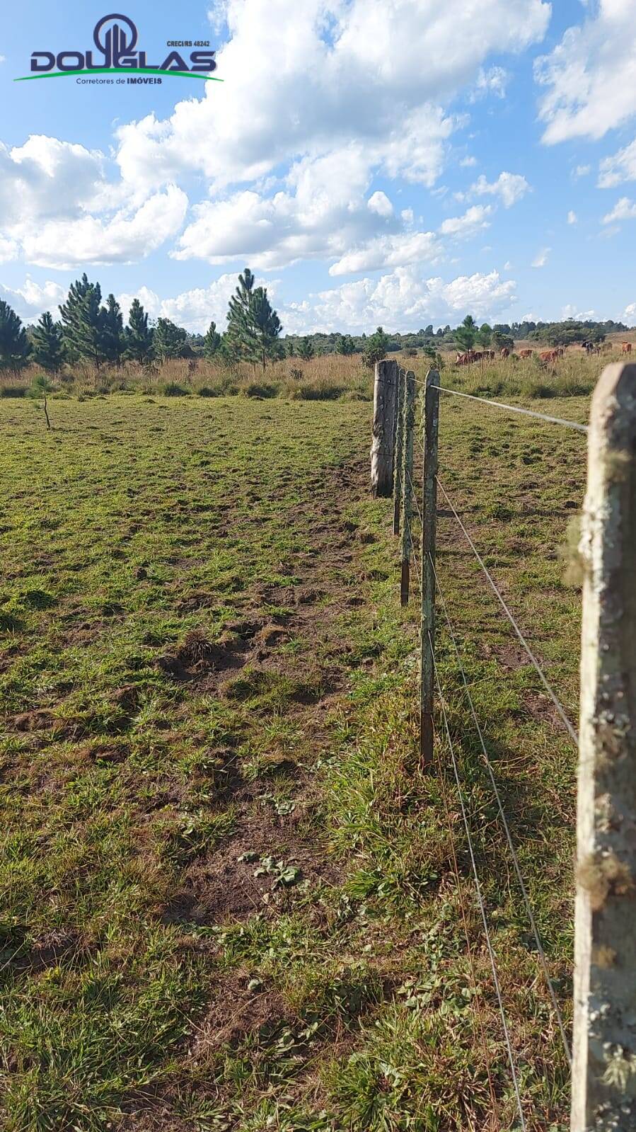 Prédio Inteiro à venda, 4m² - Foto 1