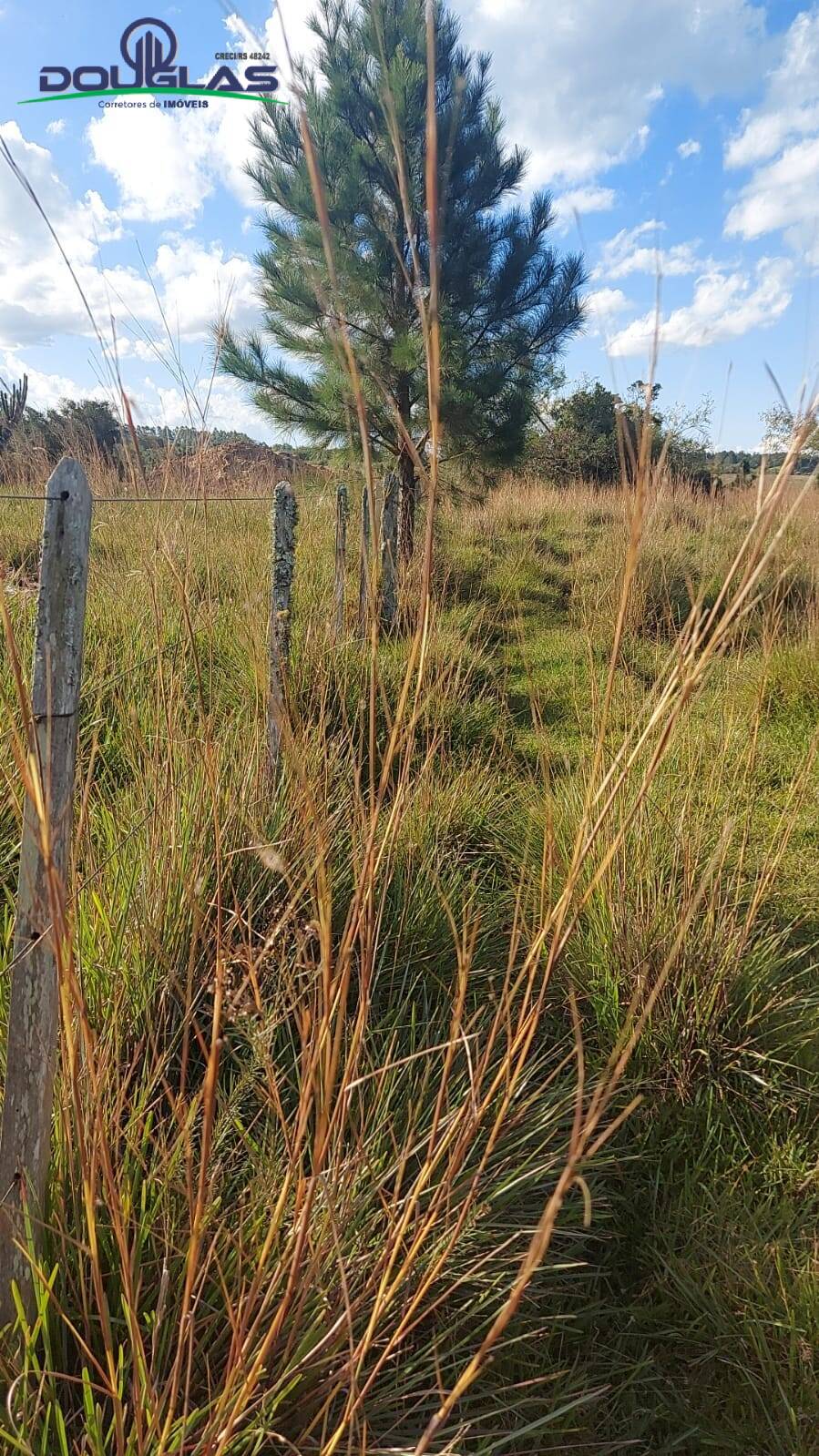 Prédio Inteiro à venda, 4m² - Foto 8