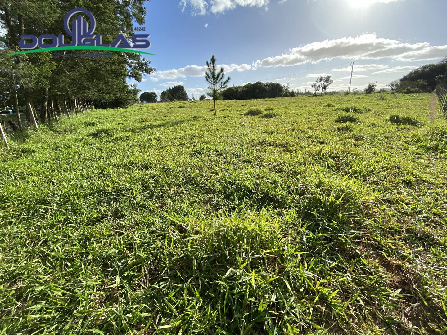 Terreno à venda, 5000m² - Foto 4