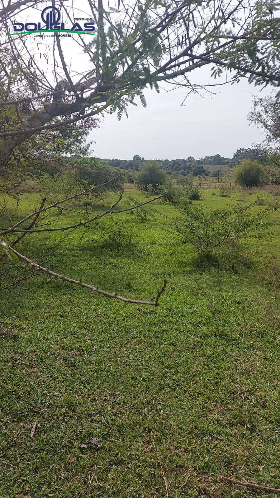 Terreno à venda, 20000m² - Foto 3