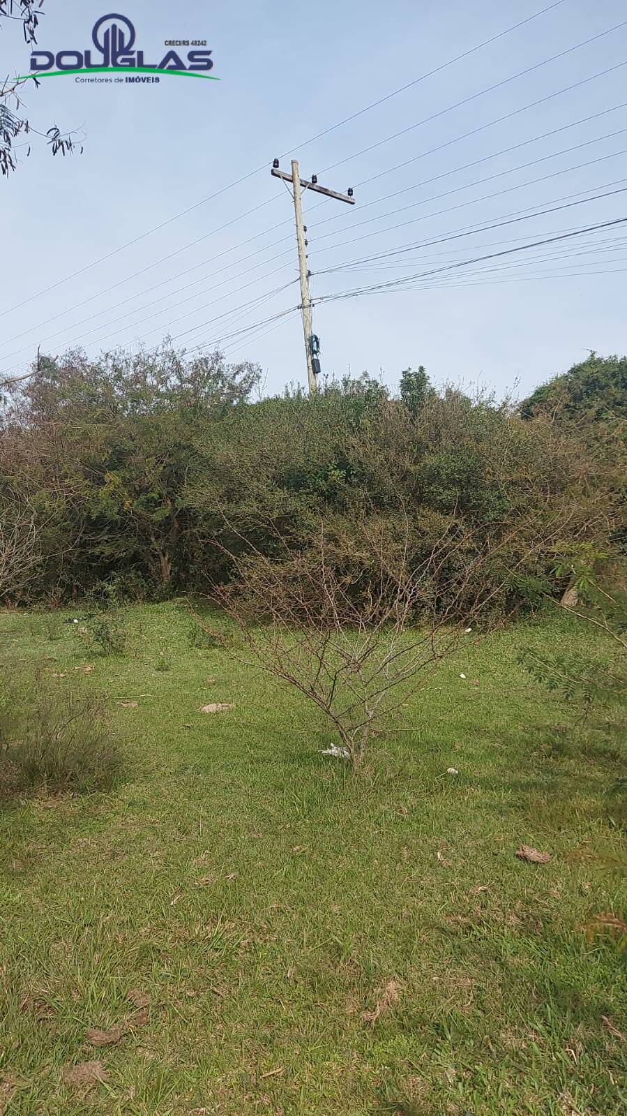 Terreno à venda, 20000m² - Foto 5