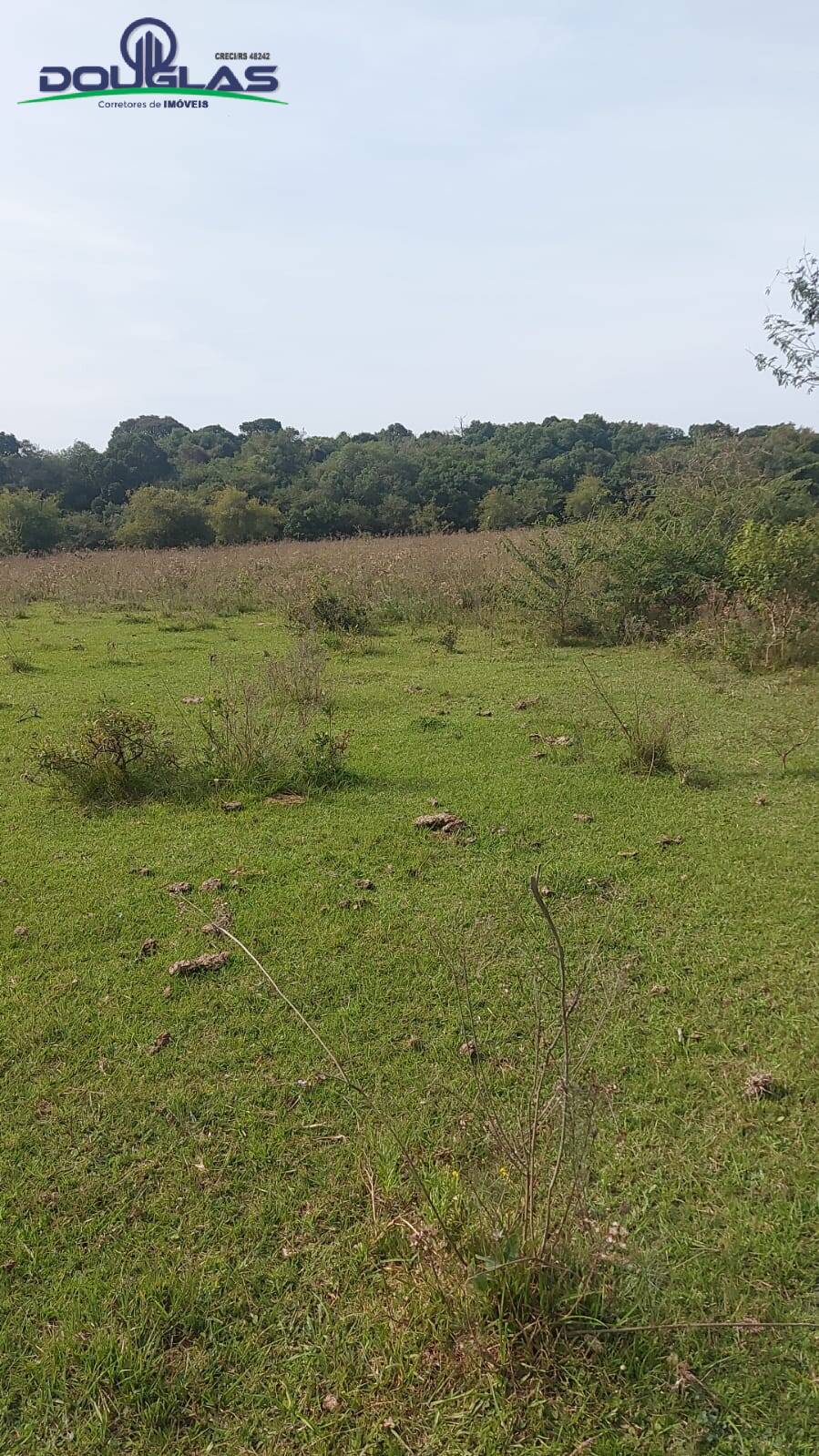 Terreno à venda, 20000m² - Foto 4