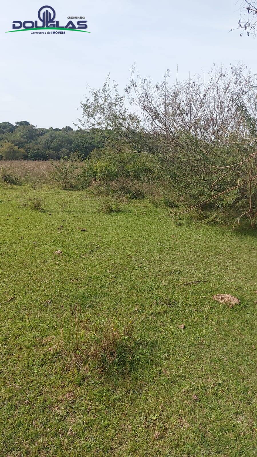 Terreno à venda, 20000m² - Foto 7