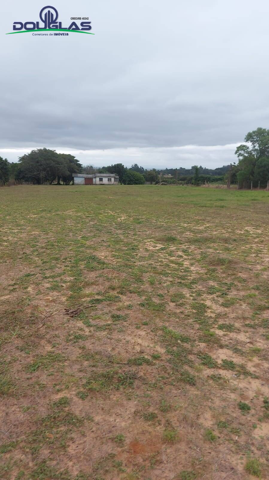 Fazenda à venda com 3 quartos, 20000m² - Foto 4