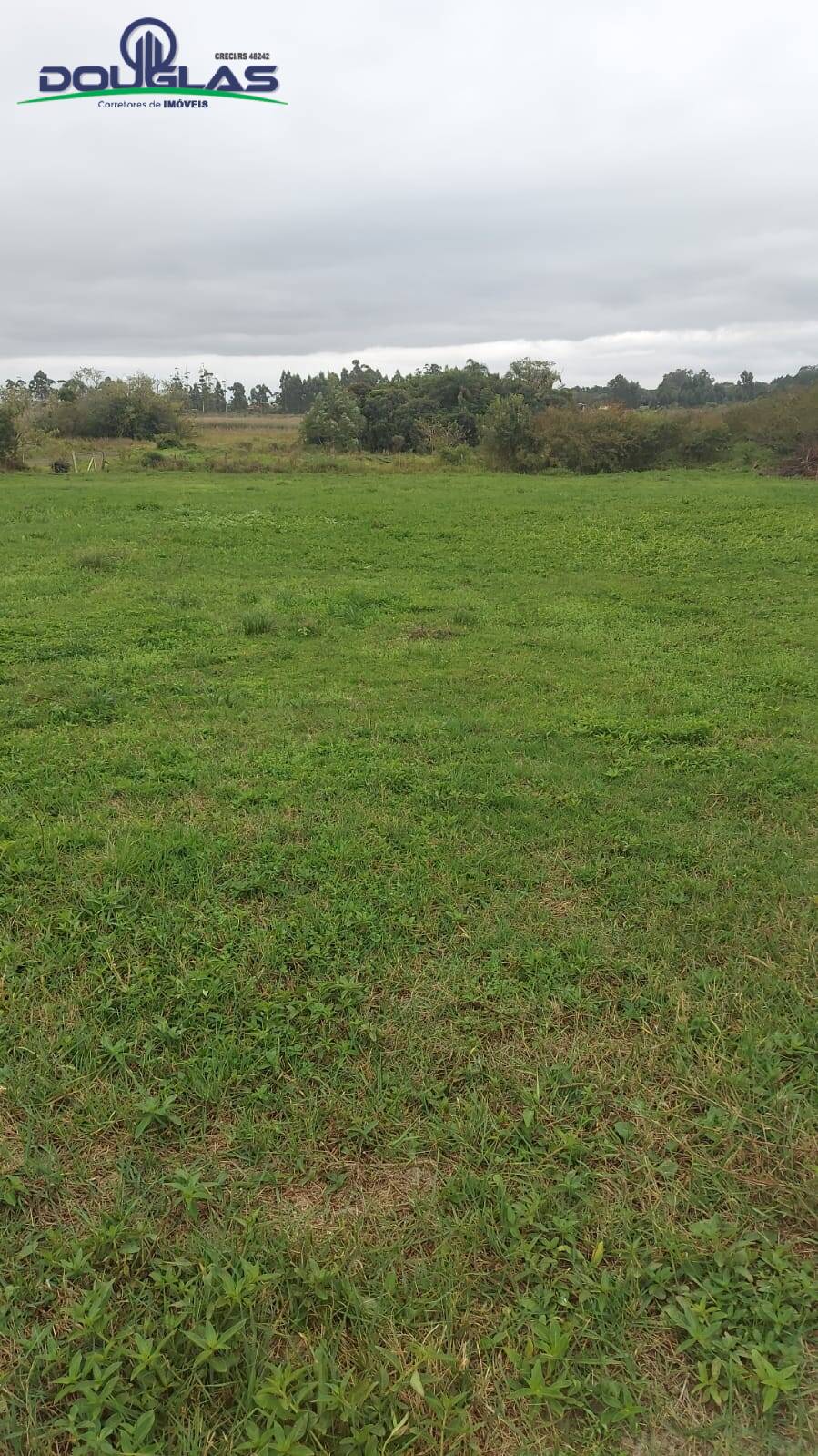 Fazenda à venda com 3 quartos, 20000m² - Foto 17