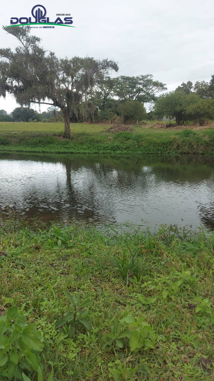 Fazenda à venda com 3 quartos, 20000m² - Foto 20