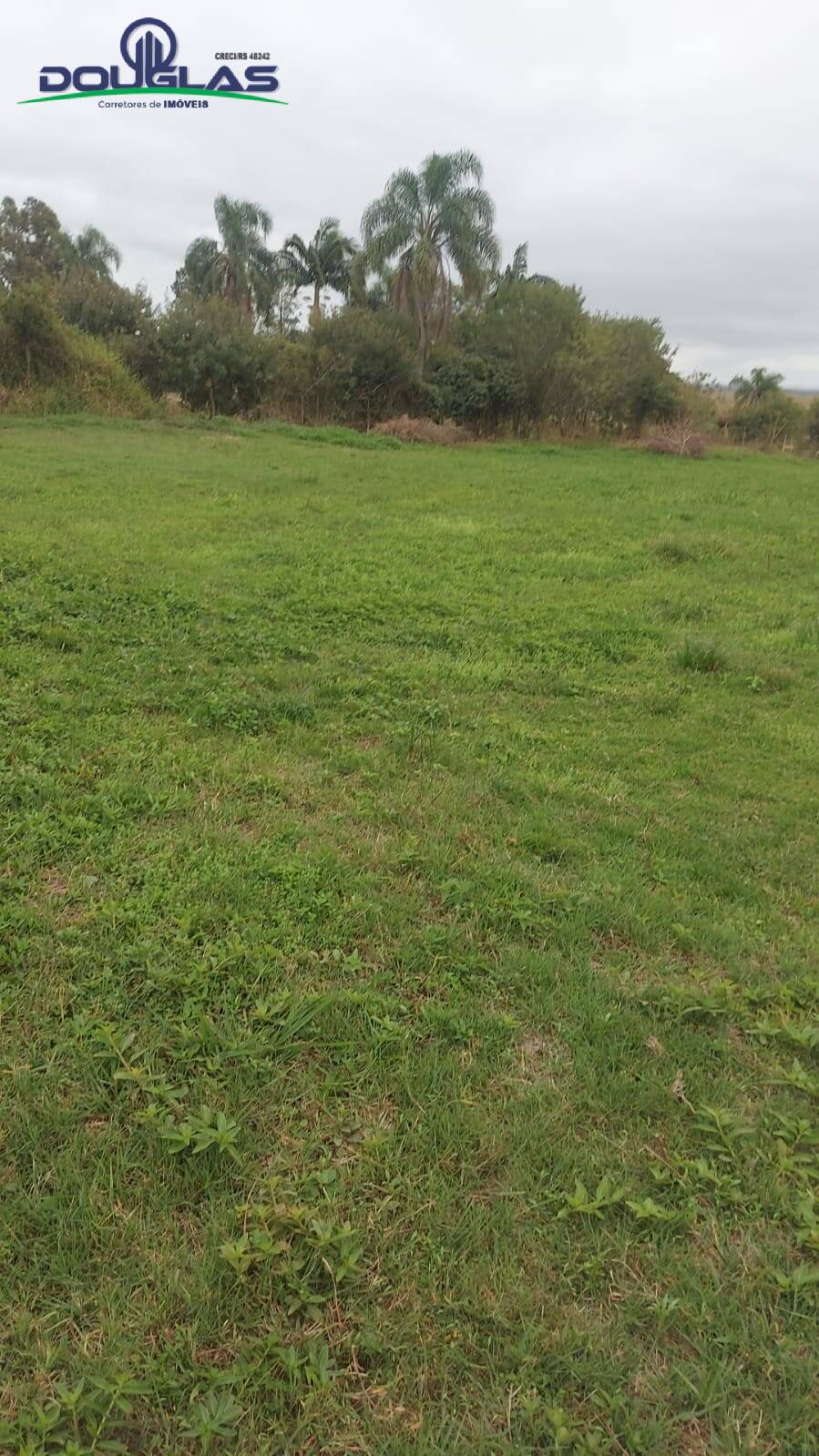 Fazenda à venda com 3 quartos, 20000m² - Foto 18