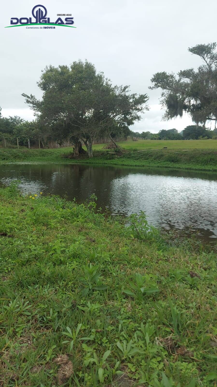 Fazenda à venda com 3 quartos, 20000m² - Foto 19