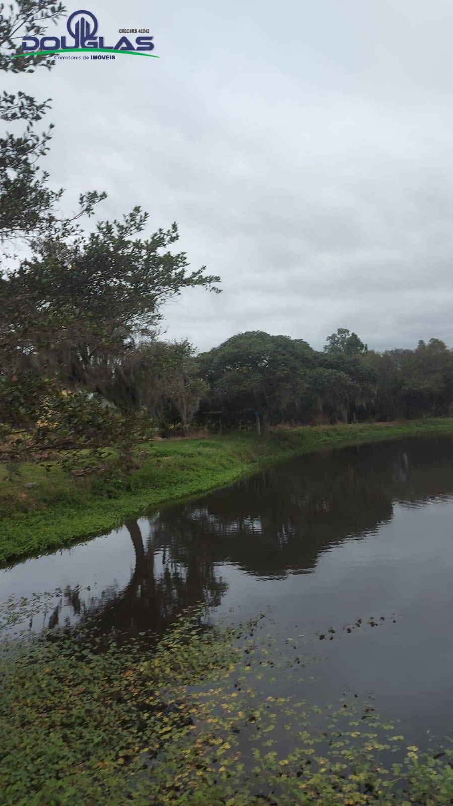 Fazenda à venda com 3 quartos, 20000m² - Foto 22