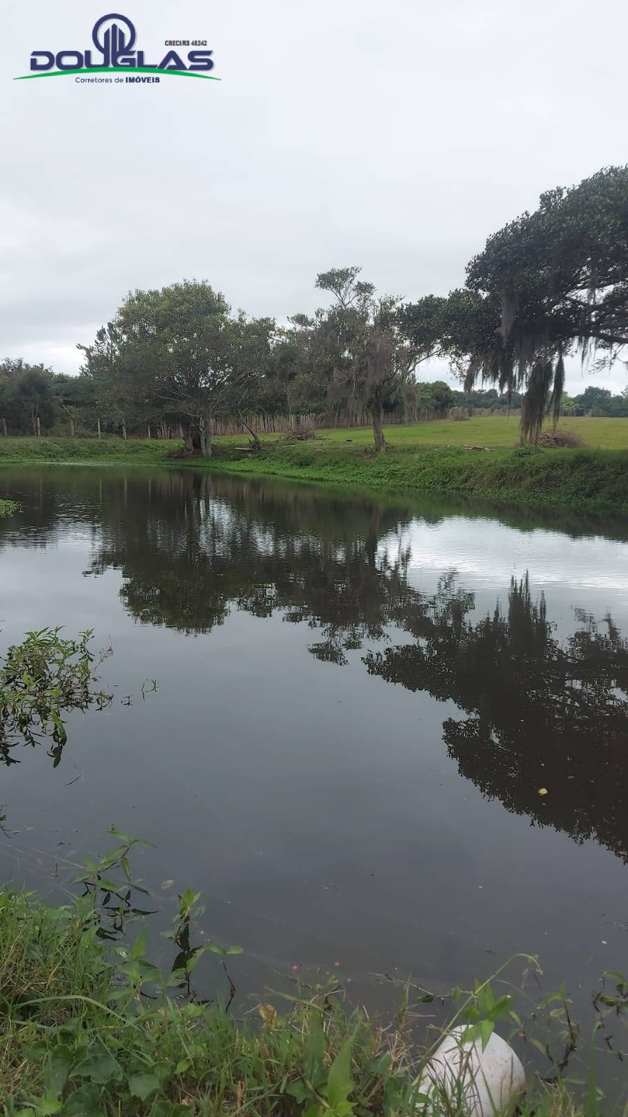 Fazenda à venda com 3 quartos, 20000m² - Foto 21