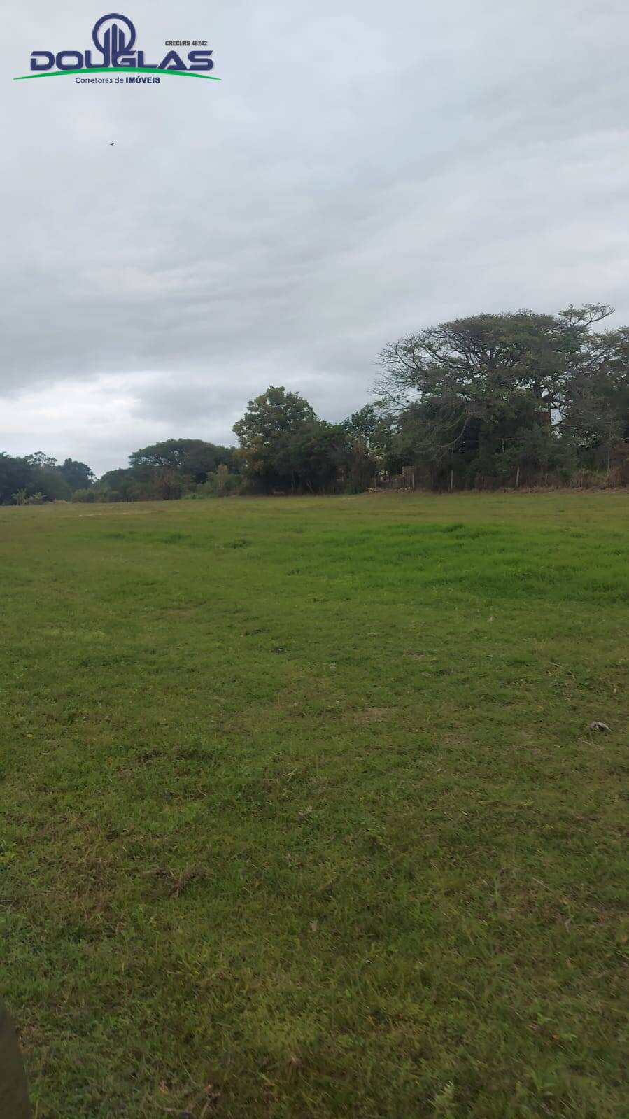 Fazenda à venda com 3 quartos, 20000m² - Foto 24