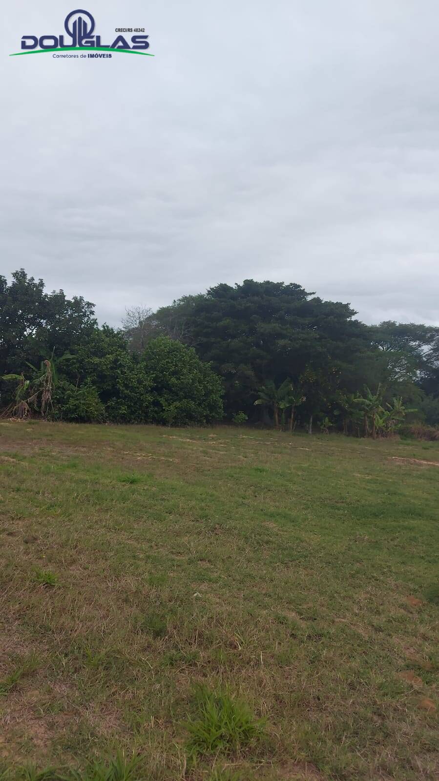 Fazenda à venda com 3 quartos, 20000m² - Foto 25