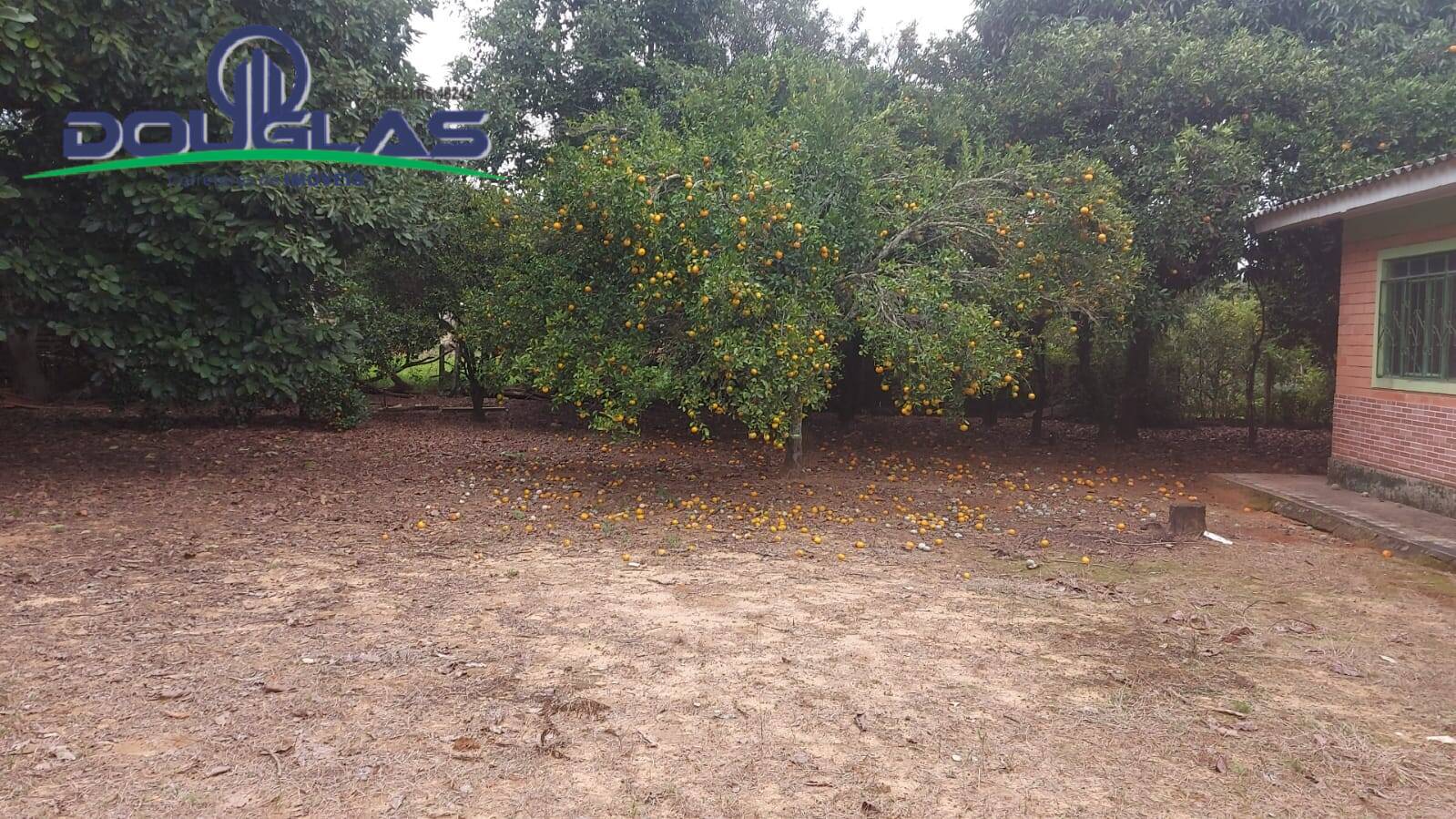 Fazenda à venda com 3 quartos, 20000m² - Foto 28