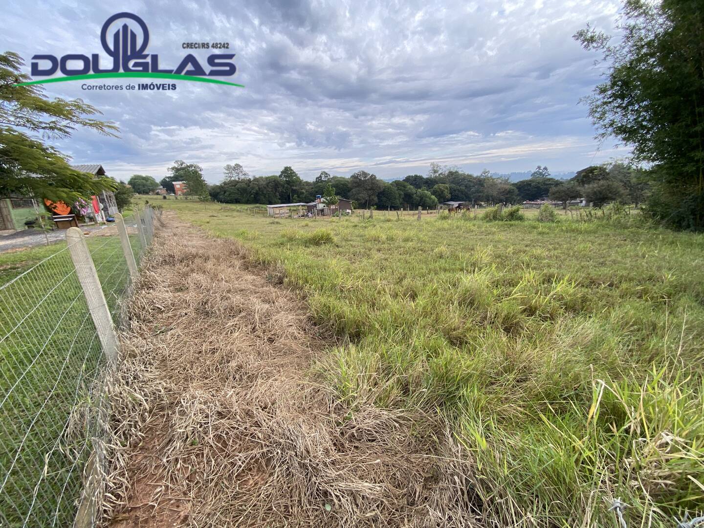 Terreno à venda - Foto 4