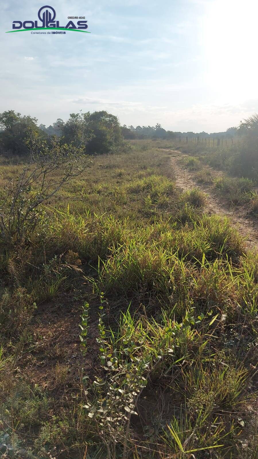 Terreno à venda - Foto 1