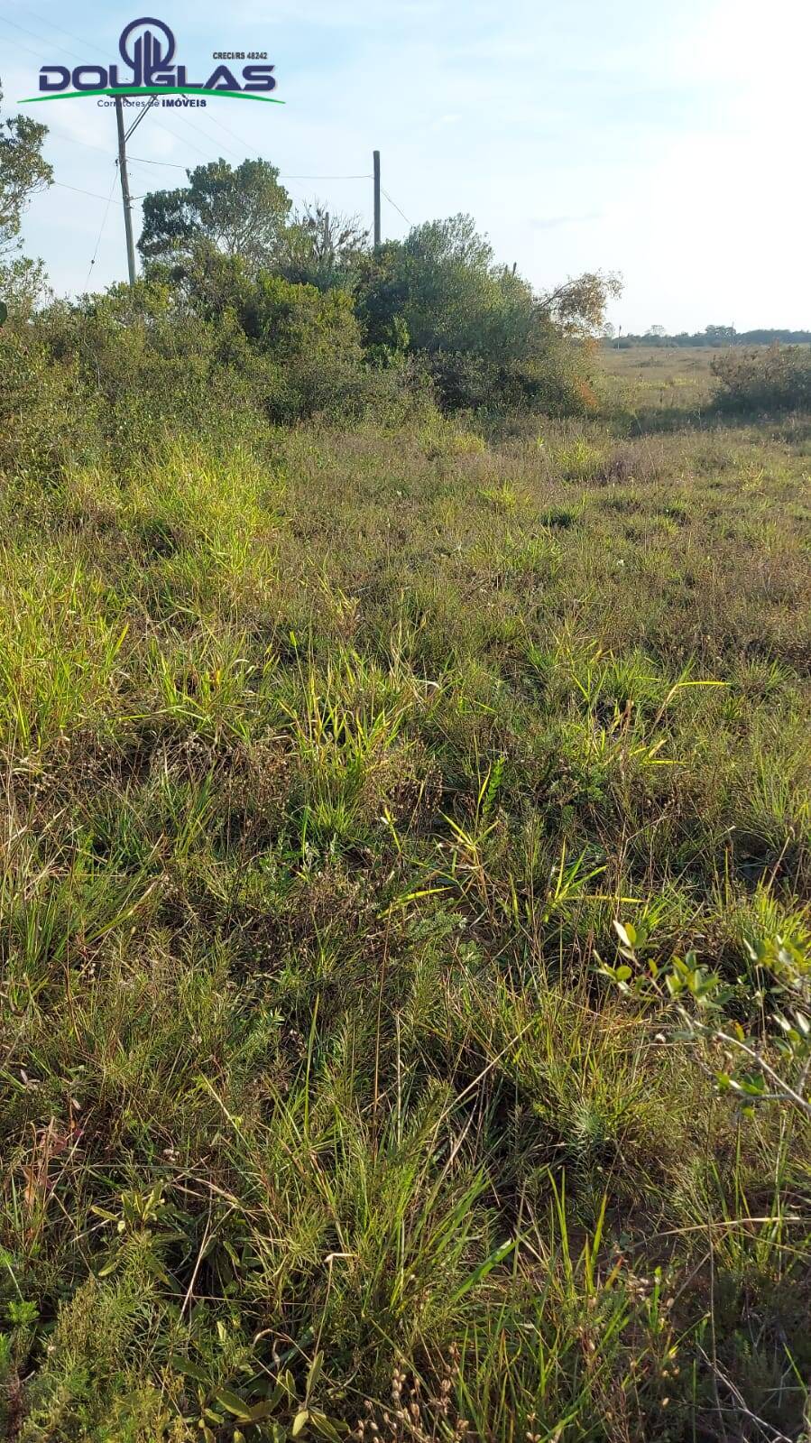 Terreno à venda - Foto 3