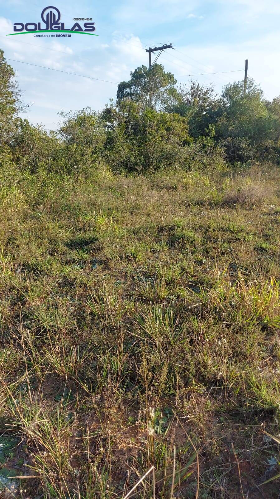 Terreno à venda - Foto 5