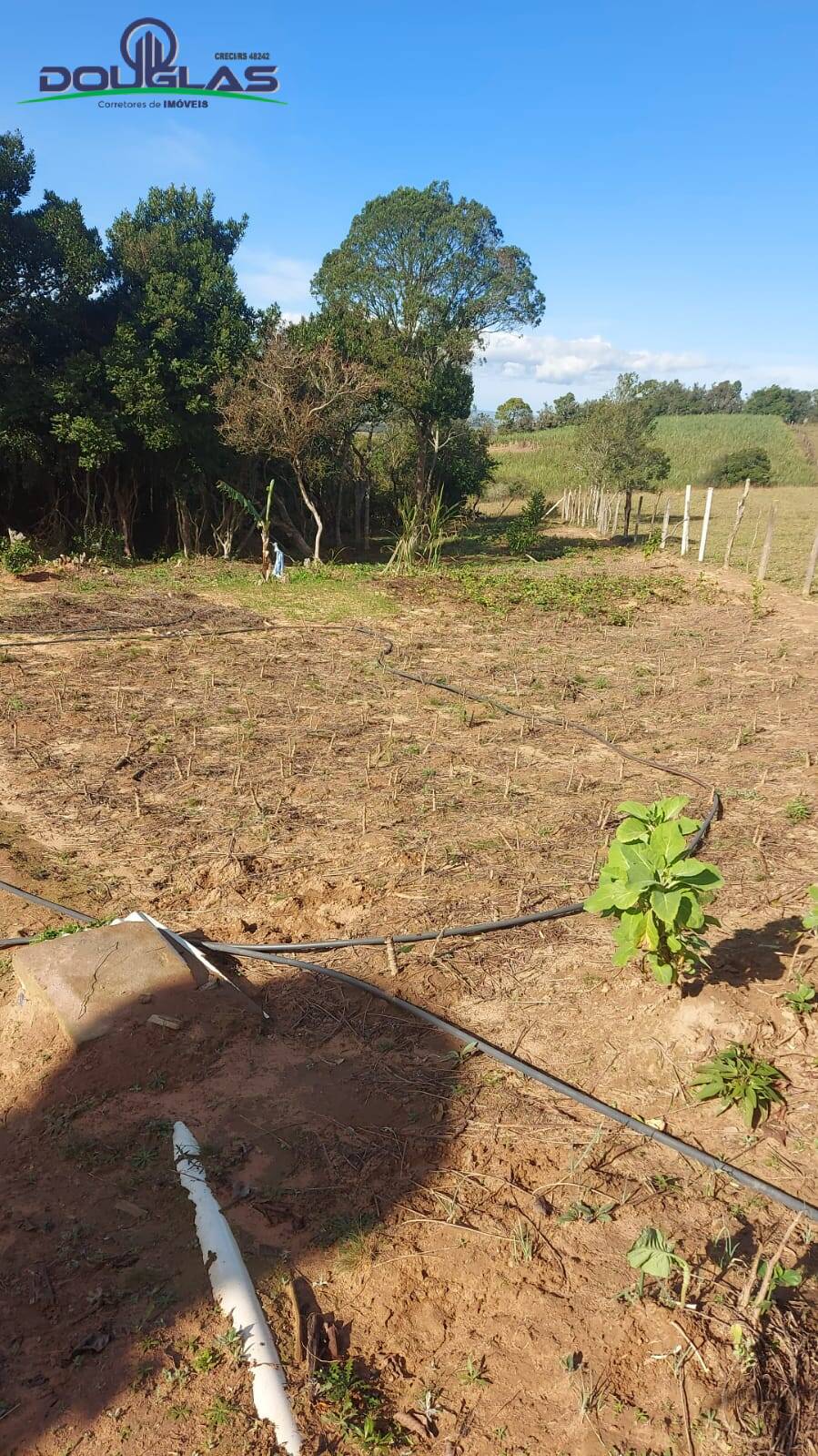 Fazenda à venda com 2 quartos, 204080m² - Foto 13