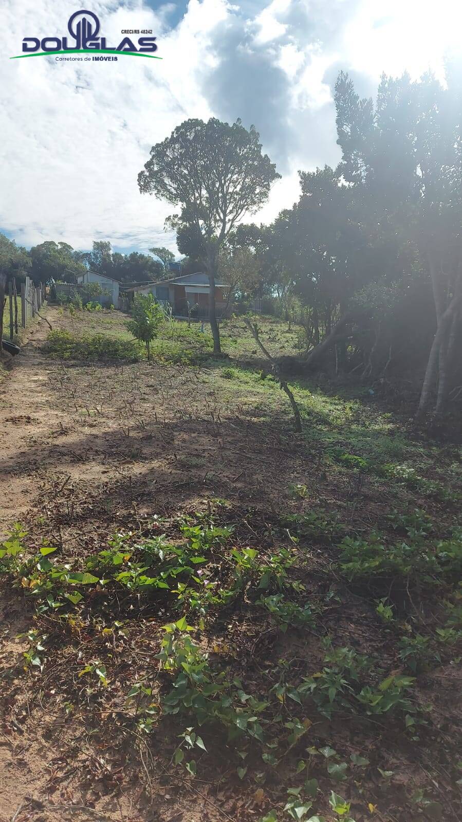 Fazenda à venda com 2 quartos, 204080m² - Foto 17