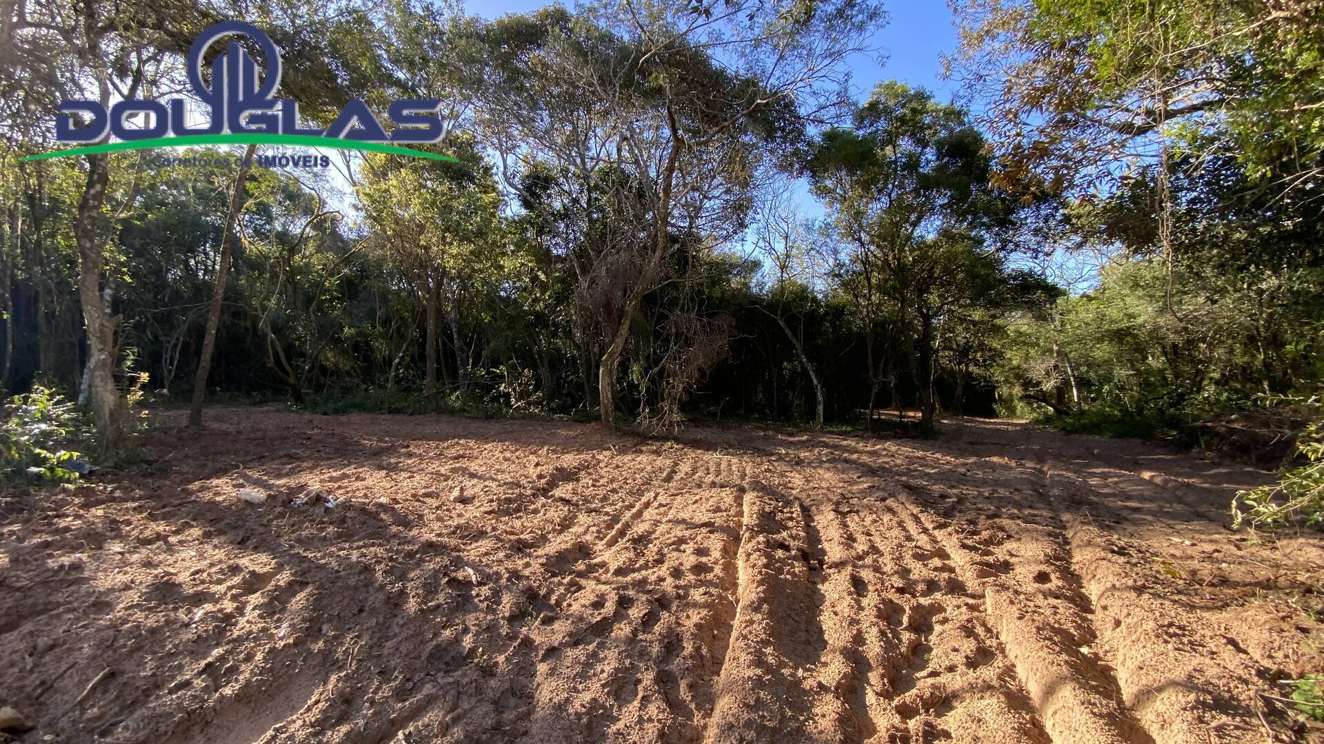 Terreno à venda - Foto 8