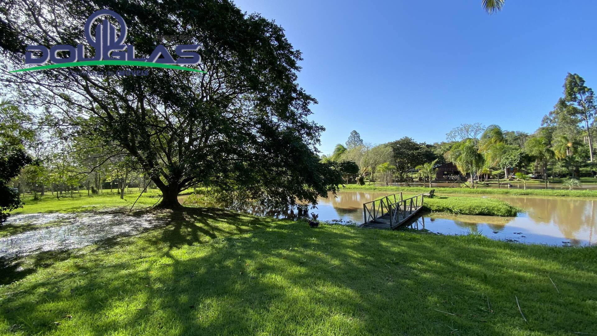 Fazenda à venda com 1 quarto, 50m² - Foto 18