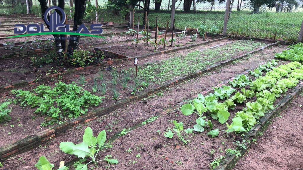 Fazenda à venda com 2 quartos, 10m² - Foto 23