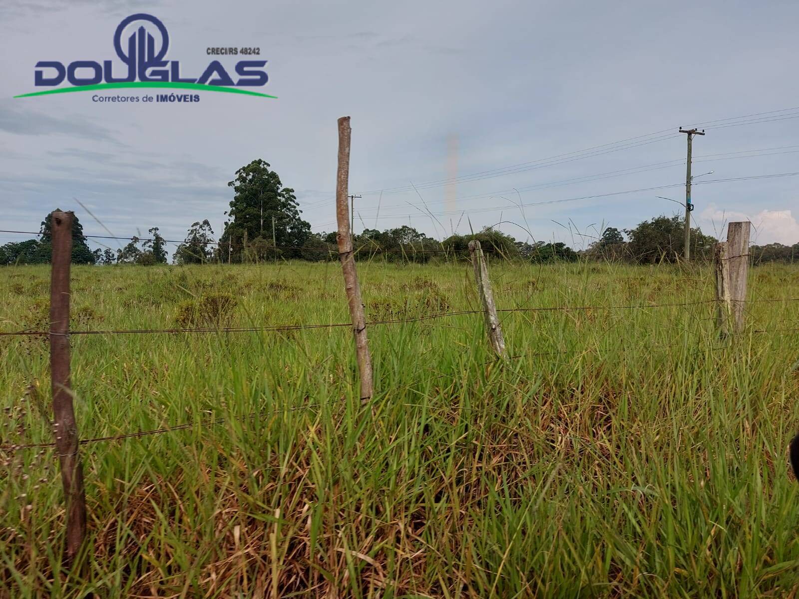 Terreno à venda - Foto 4