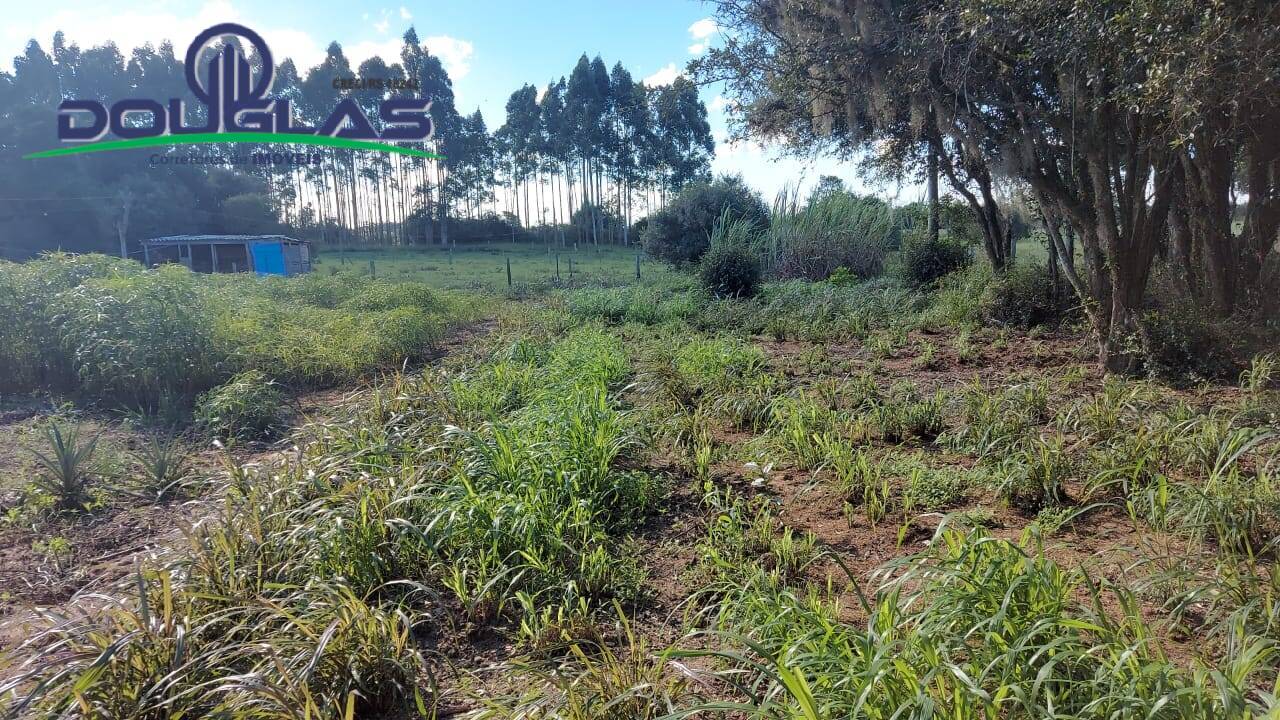 Fazenda à venda com 3 quartos, 10000m² - Foto 3