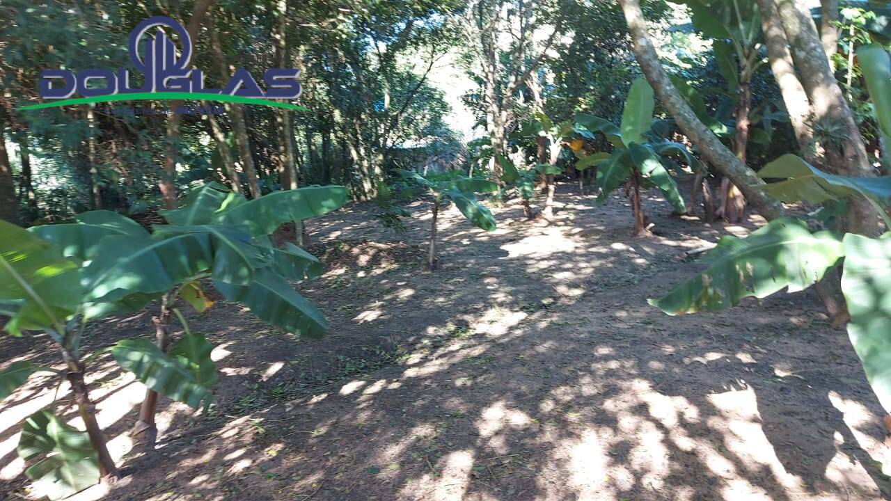 Fazenda à venda com 3 quartos, 10000m² - Foto 4