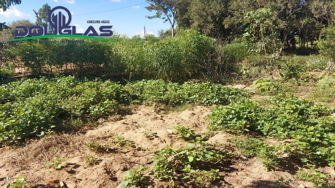 Fazenda à venda com 3 quartos, 10000m² - Foto 18