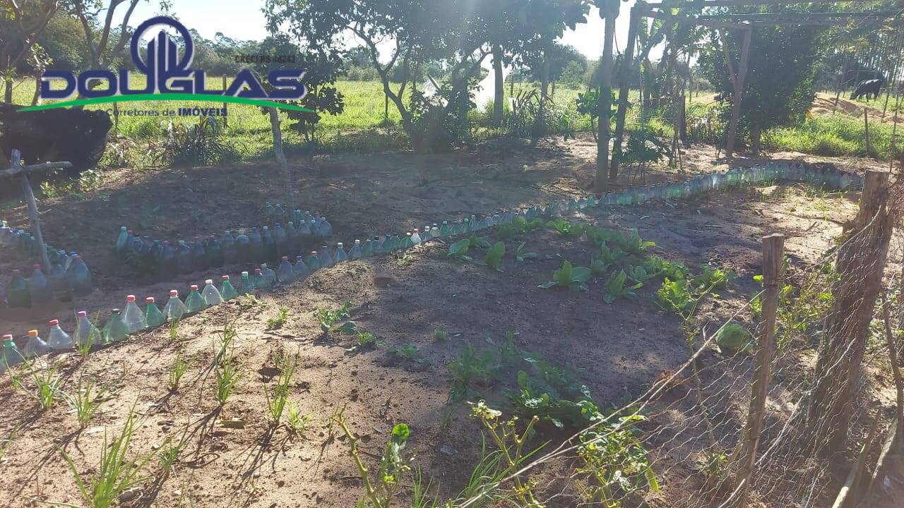 Fazenda à venda com 3 quartos, 10000m² - Foto 19